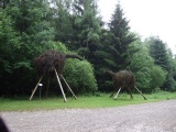 2011- 109.jpg